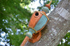bird house custom recycled Princess bird house custom recycled Princess